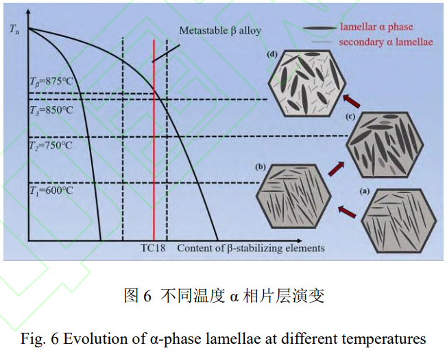截圖20251216110830.png